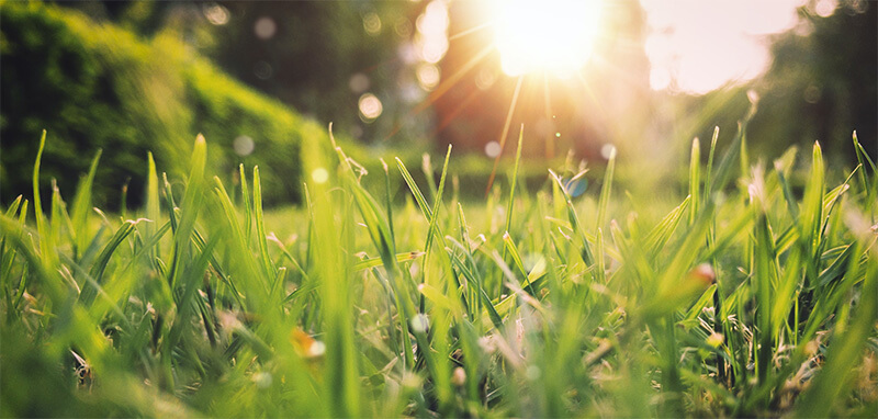 springsurvey-1